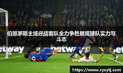 威廉希尔williamhill中文