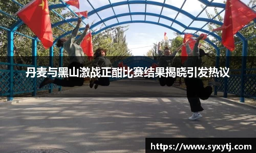 丹麦与黑山激战正酣比赛结果揭晓引发热议