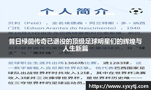 昔日绿茵传奇已退役的顶级足球明星们的辉煌与人生新篇