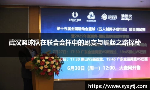 武汉篮球队在联合会杯中的蜕变与崛起之路探秘